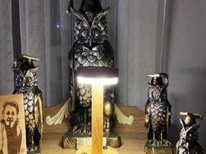 Wooden Solar Table Lamp – Solar-Powered & Rechargeable